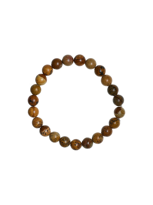 Picture Jasper Stone Stretch Bracelet B1588-Picture Jasper Gloss - 8MM