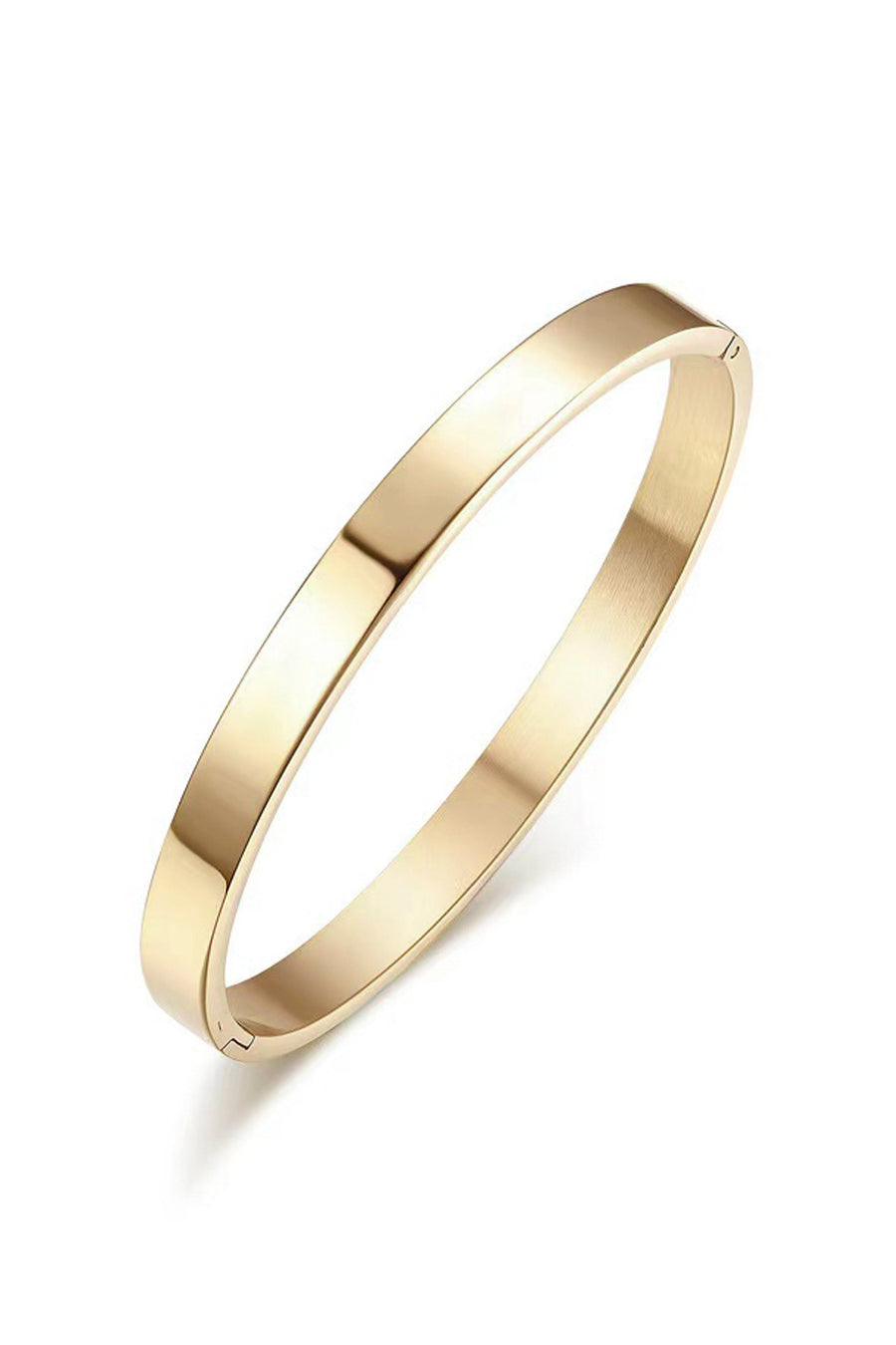 Stainless Steel Bracelet B2445