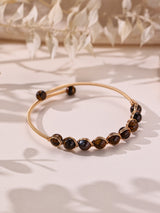 Tigers Eye AB