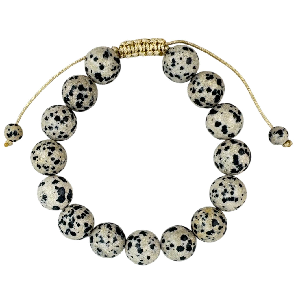 Dalmatian Jasper Braided Shamballa Bracelet B4121-Dalmatian Jasper - 12MM