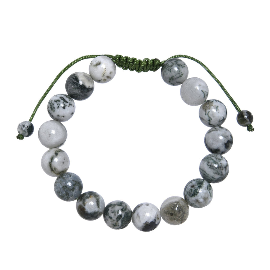 Tree Line Agate Stone Braided Bracelet B4150-Tree Line Agate