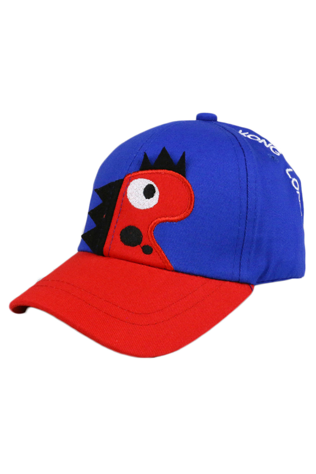 Dinosaur Printed Hat C0200
