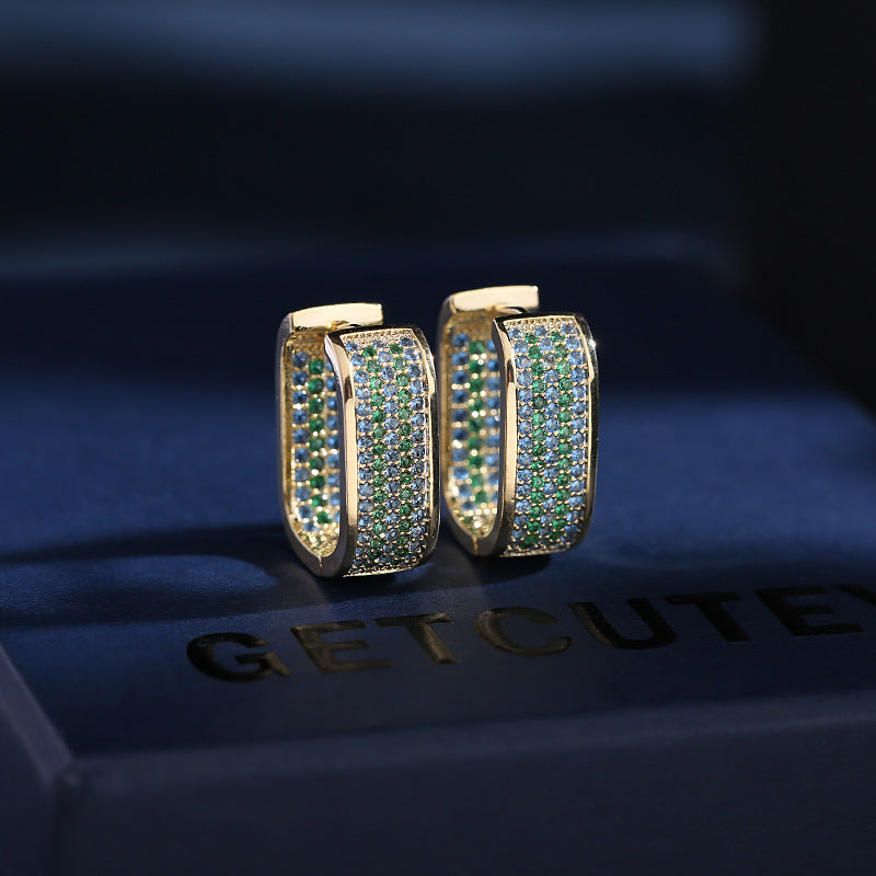 Hoop Cubic Zirconia Earrings E6452