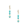 18K Gold Plated Various Stones Earrings E8767