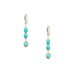 18K Gold Plated Various Stones Earrings E8767