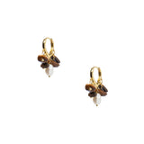 tiger-eye