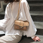 Rivet Transparent Crossbody Bags HB0835