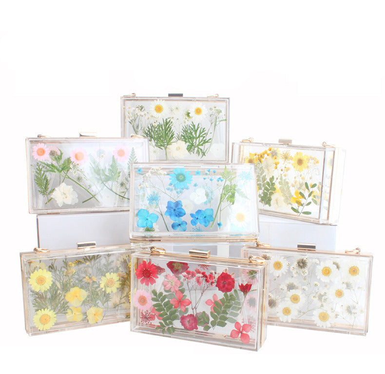 Dasiy Acrylic Crossbody bags HB1160