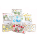 Dasiy Acrylic Crossbody bags HB1160
