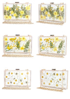 Dasiy Acrylic Crossbody bags HB1160