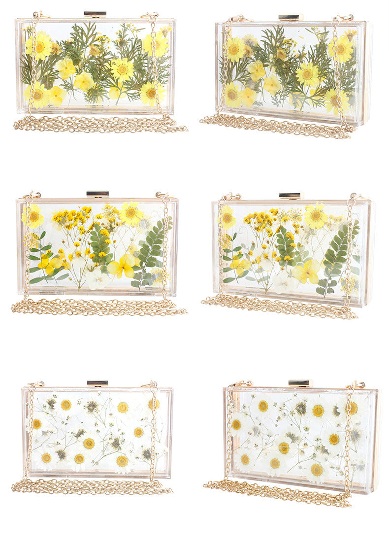Dasiy Acrylic Crossbody bags HB1160