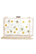 Dasiy Acrylic Crossbody bags HB1160