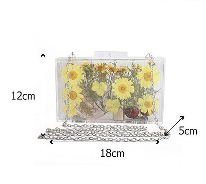 Dasiy Acrylic Crossbody bags HB1160