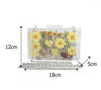 Dasiy Acrylic Crossbody bags HB1160