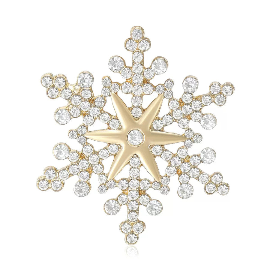 Snowflake Alloy Brooch PA6411