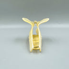 Acrylic Hair Clip L4816