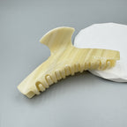 Acrylic Hair Clip L4816