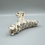 Geometric Texture Acrylic Hair Clip L4817