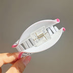 Pitaya Fruit Acrylic Hair Clip L4845