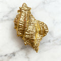 Conch Alloy Hair Clip L5083