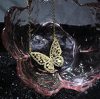 Butterfly Zircon Chain Necklace N3917