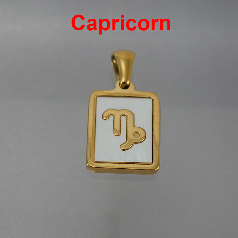12 Constellations Square Stainless Steel Necklace N4398
