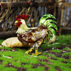 Rooster Acrylic Brooch PA4606