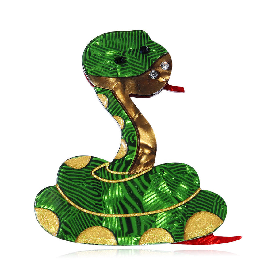 Snake Acrylic Brooch PA4703