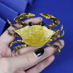 Crab Acrylic Brooch PA4704