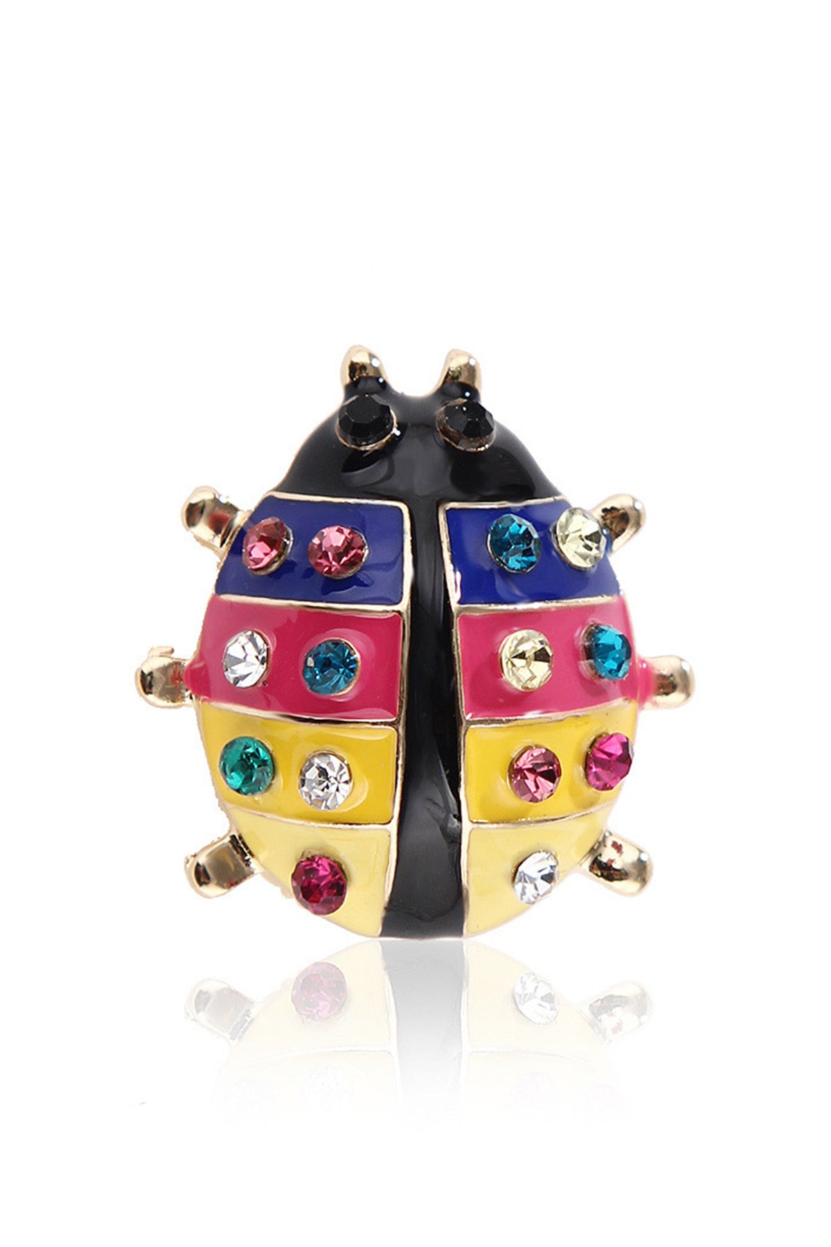 Beetle Alloy Brooch PA4843