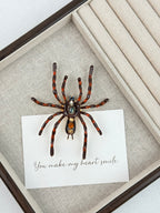 Spider Alloy Brooch PA5232