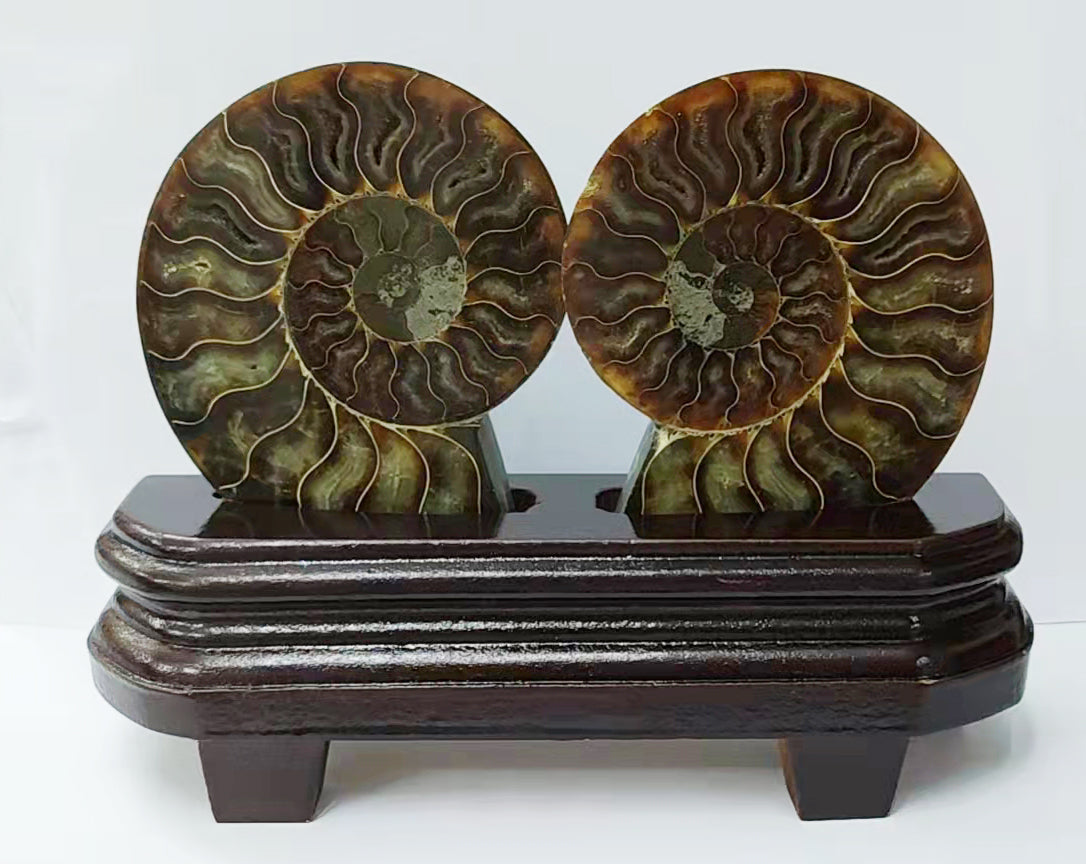 Ammonites Stone Ornament W1571 – view 2
